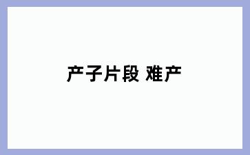 产子片段 难产